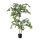Selyemvirág Ficus cserépben mûanyag 150 cm zöld