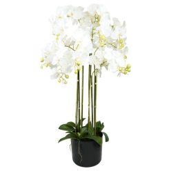   Selyemvirág Lepkeorchidea 9 ágú, kaspóban mûanyag 110 cm fehér, zöld