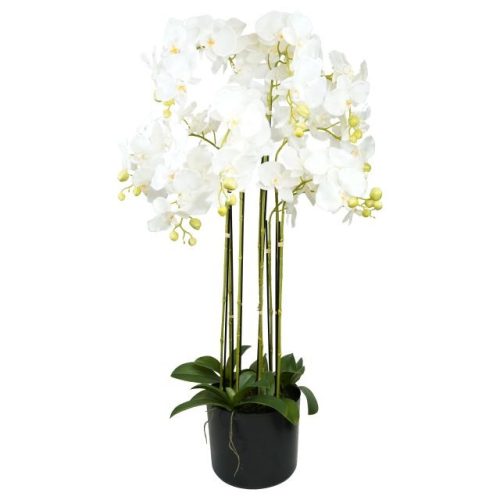 Selyemvirág Lepkeorchidea 9 ágú, kaspóban mûanyag 110 cm fehér, zöld