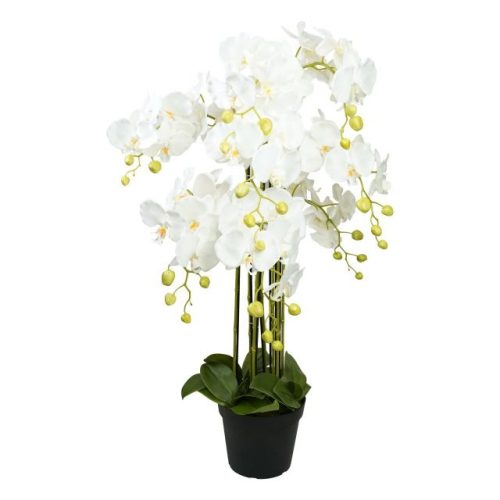 Selyemvirág Lepkeorchidea 8 ágú, kaspóban mûanyag 90 cm fehér, zöld