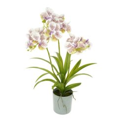   Selyemvirág Orchidea, Vanda 3 ágú, kaspóban mûanyag 50 cm fehér, lila