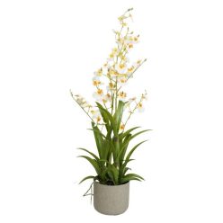   Selyemvirág Orchidea, Oncidium 4 ágú, kaspóban mûanyag 83 cm fehér, sárga