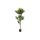 Selyemvirág pálma poliészter, polipropilén 80x80x180 cm zöld
