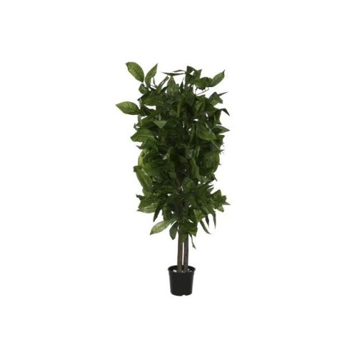 Selyemvirág mangó cserepes poliészter, fa, cement 80x80x150 cm zöld